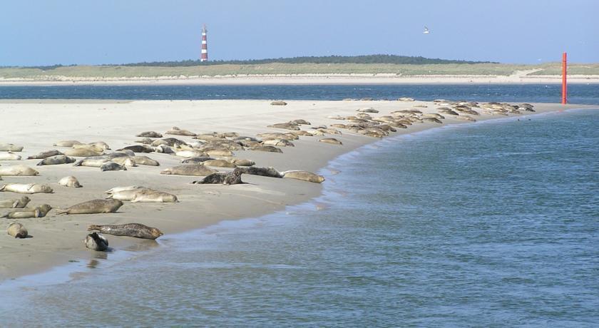 Zeeduin, Met Zonnig Terras - Volledige Keuken- Resort Amelander Kaap, Incl Verwarmd Hotel-Zwembad Nabij Dorp, Duinen En Strand Hollum  Exterior foto