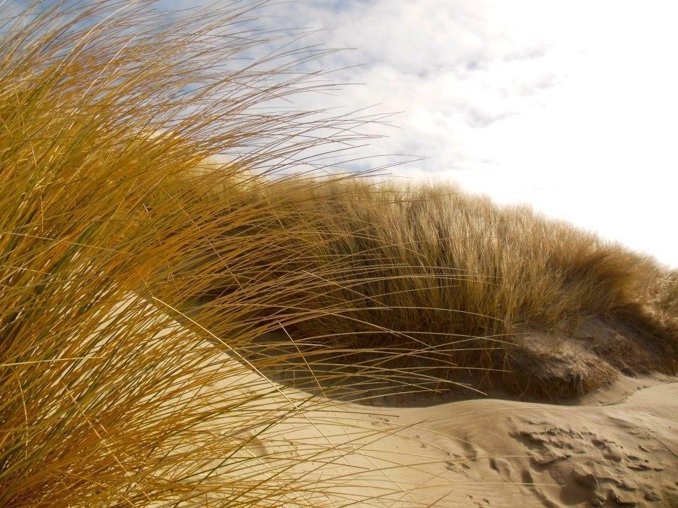 Zeeduin, Met Zonnig Terras - Volledige Keuken- Resort Amelander Kaap, Incl Verwarmd Hotel-Zwembad Nabij Dorp, Duinen En Strand Hollum  Habitación foto