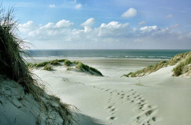 Zeeduin, Met Zonnig Terras - Volledige Keuken- Resort Amelander Kaap, Incl Verwarmd Hotel-Zwembad Nabij Dorp, Duinen En Strand Hollum  Exterior foto